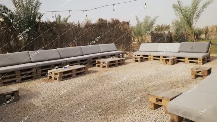 صالة خارجية في واحة نخيل. المملكة العربية السعودية. فيديو.