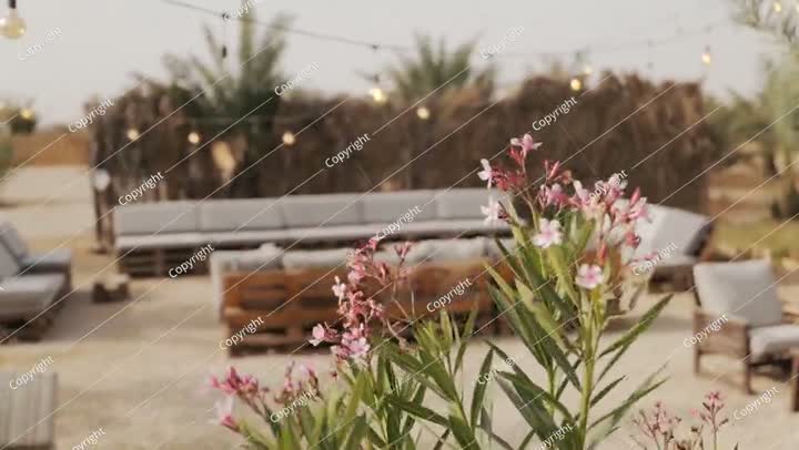 Outdoor lounge in a palm oasis. Saudi Arabia. Video.
