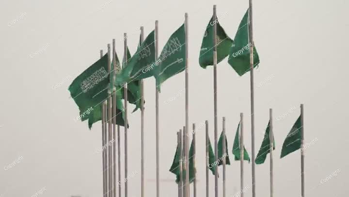 الكثير من الأعلام الوطنية للمملكة العربية السعودية