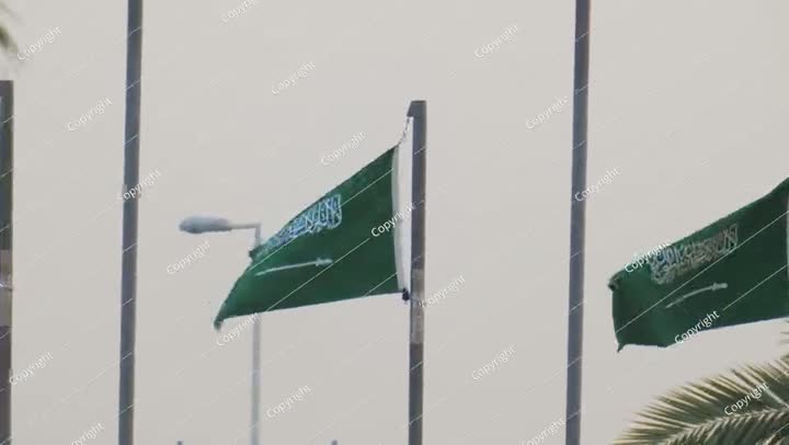 الكثير من الأعلام الوطنية للمملكة العربية السعودية