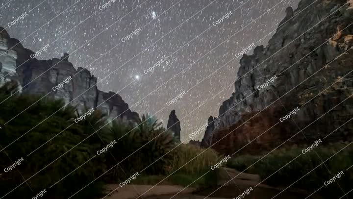 تصوير زمني لحركة النجوم في وادي الديسة، شجرة نخيل صخرية في تبوك، المملكة العربية السعودية