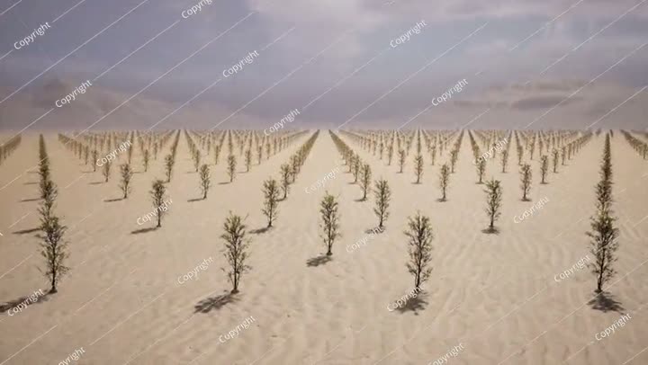 3d render of Saudi Arabia plans to plant many hectares of trees in desert