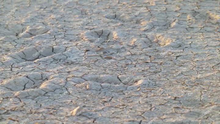 Dried soil with footprints Saudi Arabia