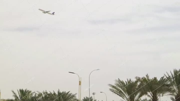 طائرة تقلع فوق أشجار النخيل في المملكة العربية السعودية