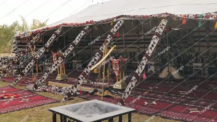 فيديو من داخل خيمة بدوية تقليدية في المملكة العربية السعودية