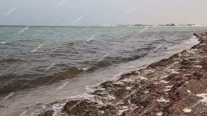 إطلالة على الشاطئ باتجاه المملكة العربية السعودية