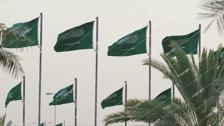 الكثير من الأعلام الوطنية للمملكة العربية السعودية