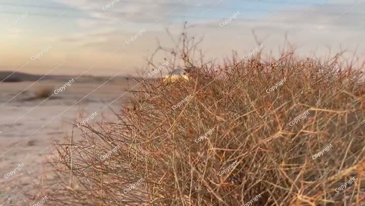 السيارة تستريح وعيني تستريح في صحراء الكويت. 