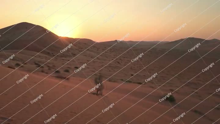 شروق الشمس في صحراء عُمان