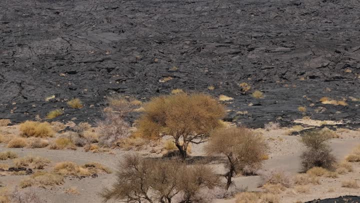 Laba in the Harrah of Khaybar, northeast of Medina, is a rare and strange site, with black rock formations, the history of the earth in the language of rocks and lava.