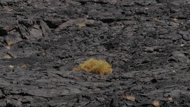 The history of the earth in the language of rocks and lava, located in the Harrah of Khaybar northeast of Medina, is a rare and strange site, with black rock formations.