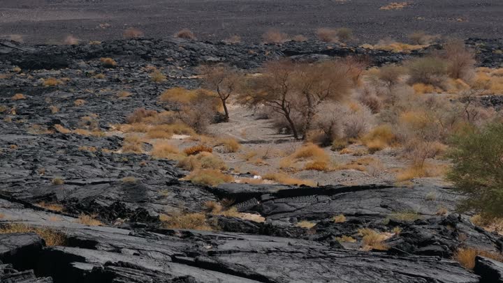 The history of the earth in the language of rocks and lava, located in the Harrah of Khaybar northeast of Medina, is a rare and strange site, with black rock formations.