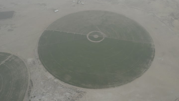 الحقول الزراعية الدائرية في المساحات الواسعة في المملكة العربية السعودية، المحاصيل والأراضي الزراعية الخضراء، تنمية البيئة والقطاع الزراعي، زراعة الأشجار والنباتات الطبيعية الخضراء