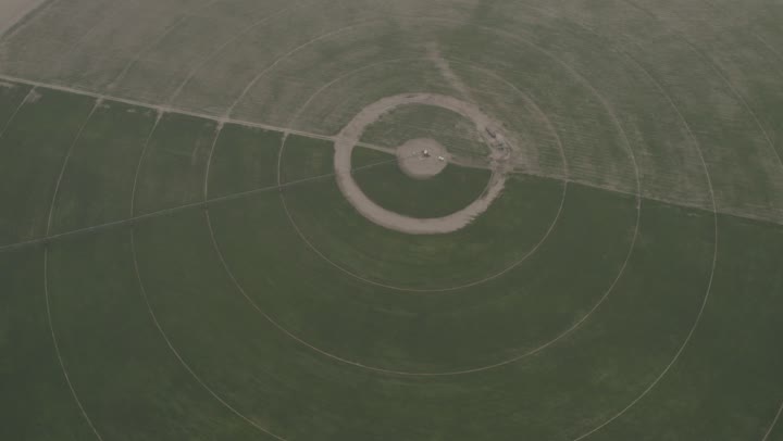 الحقول الزراعية الدائرية في المساحات الواسعة في المملكة العربية السعودية، المحاصيل والأراضي الزراعية الخضراء، تنمية البيئة والقطاع الزراعي، زراعة الأشجار والنباتات الطبيعية الخضراء