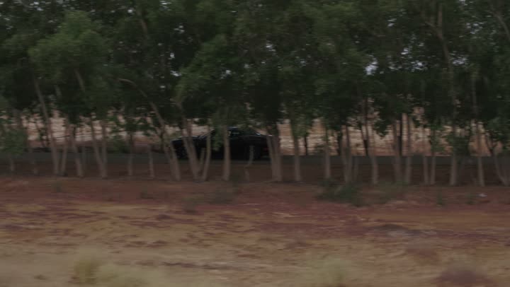 The movement of car wheels, safari adventures on the asphalt road, drone footage of driving a Dodge car among the green trees, fun desert activities, an exciting adventure in the regions of Saudi Arabia, enjoying practicing favorite hobbies, speed and acceleration of cars.