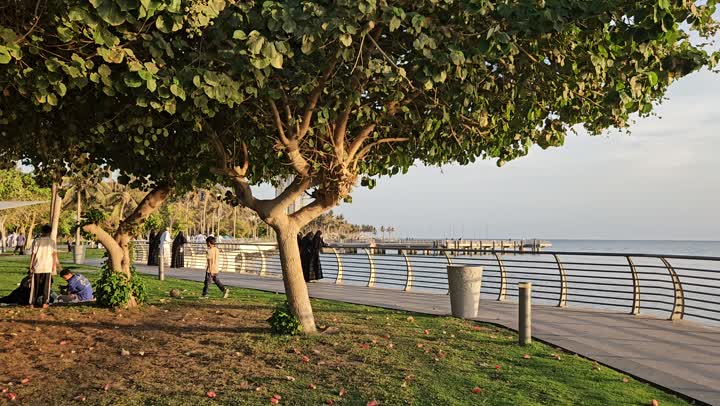 Spending free time playing with children, the corniche overlooking the Red Sea coast, the progress and urban development in Saudi Arabia, tourist attractions in the coastal city of Jeddah, famous landmarks and tourist places, the waterfront in the Kingdom of Saudi Arabia, water natural landscapes.