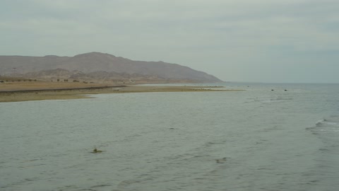 The Neom tourism project road, the eastern coast of the Gulf of Aqaba, areas of tourism development projects, rock formations and structures in Wadi Tayeb Asm in the Tabuk region, mountain ranges in desert areas, drone photography of the terrain and rock carvings in famous historical places in Saudi Arabia.