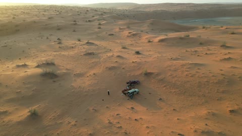 وجهة سياحية لمحبي المغامرات، جلسات عربية تقليدية وسط الصحراء, الاستجمام والاستمتاع في الأجواء الهادئة, قضاء إجازة ممتعة في براري المملكة العربية السعودية, رحلة و كشتة برية في المناطق الصحراوية في النفوذ الكبرى شمال مدينة حائل, منظر الرمال الذهبية الناعمة