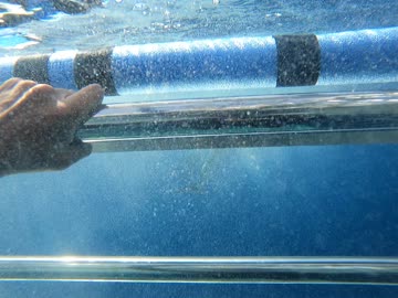 غواص يرتدي الزي الخاص بالغوص يقوم بالسباحة في أعماق البحر، استكشاف الطبيعة المائية، النباتات البحرية والثروة السمكية في المملكة العربية السعودية، مجموعة من الأسماك الصغيرة تسبح في المياه، الشعب المرجانية الملونة في البحار والمحيطات