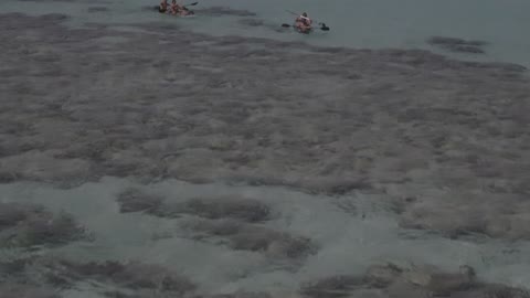 جزيرة بياضه في مدينة جدة بالمملكة العربية السعودية ، تصوير درون جوي لعلم السعودية على اليخت ، الواجهة البحرية الطبيعية ، معالم سياحية مشهورة