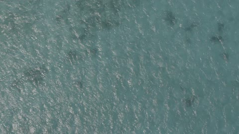 الواجهة البحرية الطبيعية ، جزيرة بياضه في مدينة جدة بالمملكة العربية السعودية ، تصوير درون جوي لعلم السعودية على اليخت ، معالم سياحية مشهورة