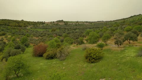 القمم والمرتفعات الجبلية الطبيعية، الطبيعة الخضراء في جبال جنوب المملكة العربية السعودية، الاشجار والنباتات الزراعية، اماكن ومعالم سياحية في السعودية، خلفية الطبيعة