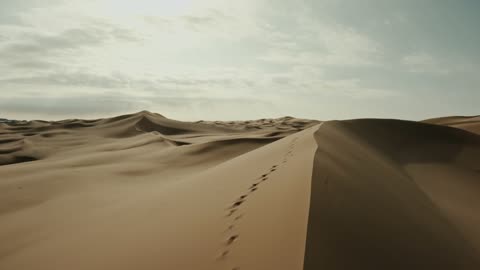 The hills and sand dunes in the Empty Quarter desert, the natural landscapes in the desert environment of the Kingdom of Saudi Arabia, formations of soft golden sands, the backdrop of the desert nature.