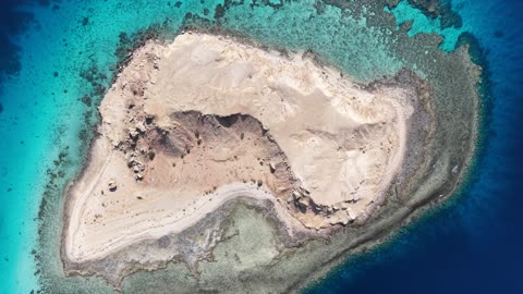 1764060290SwQVHokHth