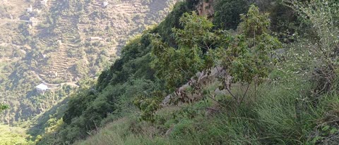 الطبيعة فى جبال فيفاء في جازان جنوب المملكة العربية السعودية، القمم والمرتفعات الصخرية، أماكن ومعالم سياحية طبيعية، الأشجار والنباتات ومساحات الطبيعة الخضراء، المدرجات الزراعية على السفوح الجبلية، البيوت والمباني السكنية