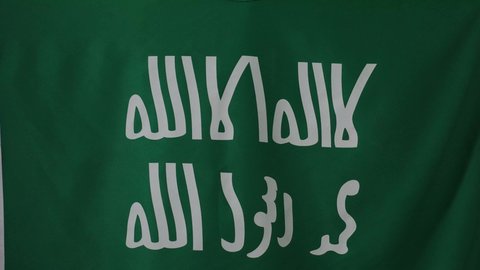 بورتريه مقرب من الخلف لامرأة عربية خليجية سعودية ترتدي الشيلة والبشت الأخضر تضع على كتفيها علم التأسيس، ذكرى تأسيس الدولة السعودية الاولى، يوم بدينا 22 فبراير, ارتداء الزي الشعبي للمنطقة الوسطى في مناسبة وطنية, خلفية بنية