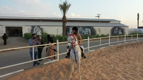 The symbol of horsemanship and bravery, a farm for breeding, training, and taming horses, Gulf Arab Saudi knights riding horses at the equestrian club, fun recreational activities and sports, the hobby of horseback riding in the desert areas and nature reserves in the Kingdom of Saudi Arabia.