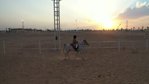 The symbol of horsemanship and bravery, a farm for breeding, training, and taming horses, Gulf Arab Saudi knights riding horses at the equestrian club, fun recreational activities and sports, the hobby of horseback riding in the desert areas and nature reserves in the Kingdom of Saudi Arabia.