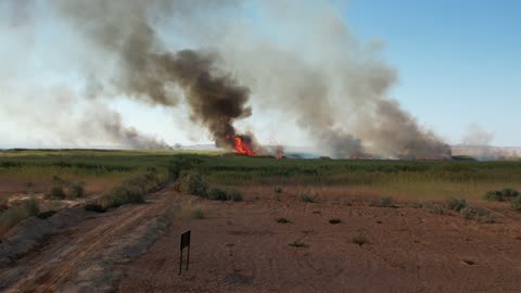 Smoke from the fire and flames rising from the agricultural lands in the Tabuk region, a natural tourist area in the Kingdom of Saudi Arabia, are the effects of global warming and the burning of green spaces.