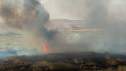 Smoke from the fire and flames rising from the agricultural lands in the Tabuk region, a natural tourist area in the Kingdom of Saudi Arabia, are the effects of global warming and the burning of green spaces.