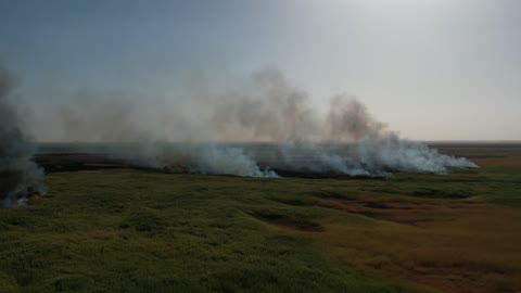 دخان الحريق والنار المتصاعدة من الاراضي الزراعية في منطقة تبوك، مكان ومنطقة سياحية طبيعية في المملكة العربية السعودية، اثار الاحتباس الحراري، احتراق المساحات الخضراء