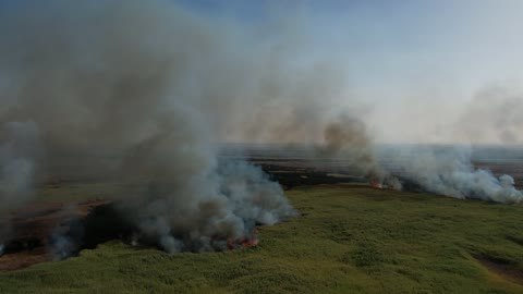 دخان الحريق والنار المتصاعدة من الاراضي الزراعية في منطقة تبوك، مكان ومنطقة سياحية طبيعية في المملكة العربية السعودية، اثار الاحتباس الحراري، احتراق المساحات الخضراء