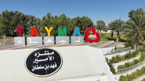 A distinctive natural landscape in the Kingdom of Saudi Arabia, with a focus on afforestation and planting green plants in gardens and recreational parks, strolling and walking in public gardens, drone photography of Prince Fahd bin Sultan Park in Tabuk Province, a famous tourist spot and landmark.