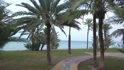 ممشى من النباتات الخضراء، من أكبر محافظات تبوك من حيث المساحة، مركزاً تجارياً هاماً بعد مكة المكرمة، الموقع على ساحل البحر الأحمر بين مدينتي الوجه وينبع، أملج الساحلية في السعودية،  تصوير درون لمياه البحر في أملج في المملكة العربية السعودية