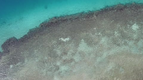 تصوير درون عامودي لممشى حديقة الأمير فهد بن سلطان في المملكة العربية السعودية، أجهزة رياضية، دورات مياه عامة، وكراسي للراحة، يحتوي على مناطق لعب ومساحات خضراء، مضمار للمشي والجري وركوب الدراجات، وجهة رئيسية للرياضة والترفيه في تبوك.