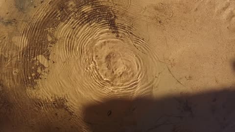 مقصد سياحي في منطقة تبوك، تُعرف بالعيون الفوارة، جريان المياه في الينابيع والبحيرات، معالم دينية تاريخية سياحية، الاهتمام في المساحات الخضراء الواسعة في المملكة العربية السعودية، زراعة الاشجار والنباتات الطبيعية الخضراء، تصوير درون لعيون موسى في مدينة نيوم في تبوك .