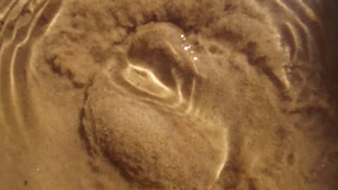 هذه العيون في وادي مقنا وتُعرف بالعيون الفوارة، جريان المياه في الينابيع والبحيرات، معالم دينية تاريخية سياحية، الاهتمام في المساحات الخضراء الواسعة في المملكة العربية السعودية، زراعة الاشجار والنباتات الطبيعية الخضراء، تصوير درون لعيون موسى في مدينة نيوم في تبوك .