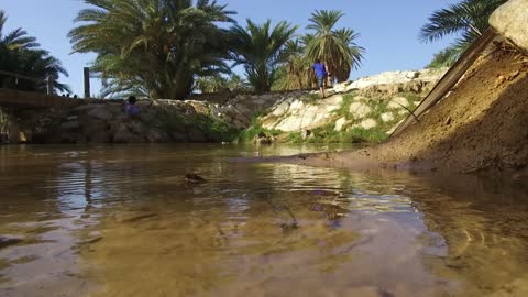 استمتاع الاطفال في مياه الينابيع، جريان المياه في الينابيع والبحيرات، معالم دينية تاريخية سياحية، الاهتمام في المساحات الخضراء الواسعة في المملكة العربية السعودية، زراعة الاشجار والنباتات الطبيعية الخضراء، تصوير درون لعيون موسى في مدينة نيوم في تبوك .