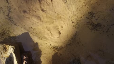 تُعرف بالعيون الفوارة، هذه العيون في وادي مقنا ، جريان المياه في الينابيع والبحيرات، معالم دينية تاريخية سياحية، الاهتمام في المساحات الخضراء الواسعة في المملكة العربية السعودية، زراعة الاشجار والنباتات الطبيعية الخضراء، تصوير درون لعيون موسى في مدينة نيوم في تبوك .