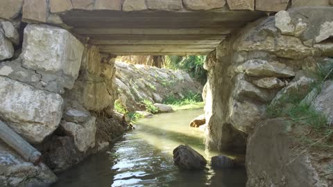 جريان المياه في الينابيع والبحيرات، معالم دينية تاريخية سياحية، الاهتمام في المساحات الخضراء الواسعة في المملكة العربية السعودية، زراعة الاشجار والنباتات الطبيعية الخضراء، تصوير درون لعيون موسى في مدينة نيوم في تبوك .