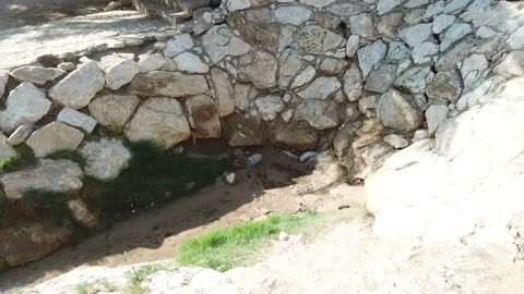 أماكن سياحية بالسعودية ، مدينة المستقبل نيوم، جريان المياه في الينابيع والبحيرات، معالم دينية تاريخية سياحية، الاهتمام في المساحات الخضراء الواسعة في المملكة العربية السعودية، زراعة الاشجار والنباتات الطبيعية الخضراء، تصوير درون لعيون موسى في مدينة نيوم في تبوك .