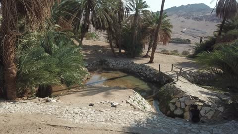 الاهتمام في المساحات الخضراء الواسعة في المملكة العربية السعودية، زراعة الاشجار والنباتات الطبيعية الخضراء، تصوير درون لعيون موسى في مدينة نيوم في تبوك، معالم دينية تاريخية سياحية، المياه المتدفقة في الينابيع والبحيرات .