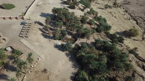 زراعة الاشجار والنباتات الطبيعية الخضراء، تصوير درون لعيون موسى في مدينة نيوم في تبوك، معالم دينية تاريخية سياحية، الاهتمام في المساحات الخضراء الواسعة في المملكة العربية السعودية، المياه المتدفقة في الينابيع والبحيرات .