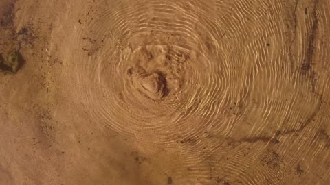 تُعرف بالعيون الفوارة، هذه العيون في وادي مقنا ، جريان المياه في الينابيع والبحيرات، معالم دينية تاريخية سياحية، الاهتمام في المساحات الخضراء الواسعة في المملكة العربية السعودية، زراعة الاشجار والنباتات الطبيعية الخضراء، تصوير درون لعيون موسى في مدينة نيوم في تبوك .