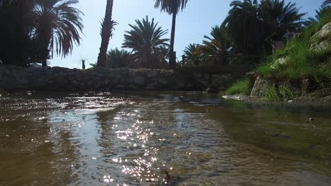 المياه المتدفقة في الينابيع والبحيرات، معالم دينية تاريخية سياحية، الاهتمام في المساحات الخضراء الواسعة في المملكة العربية السعودية، زراعة الاشجار والنباتات الطبيعية الخضراء، تصوير درون لعيون موسى في مدينة نيوم في تبوك .