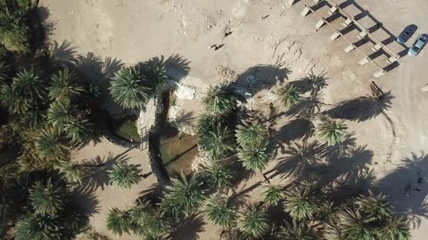 مدينة المستقبل نيوم، أماكن سياحية بالسعودية ، جريان المياه في الينابيع والبحيرات، معالم دينية تاريخية سياحية، الاهتمام في المساحات الخضراء الواسعة في المملكة العربية السعودية، زراعة الاشجار والنباتات الطبيعية الخضراء، تصوير درون لعيون موسى في مدينة نيوم في تبوك .